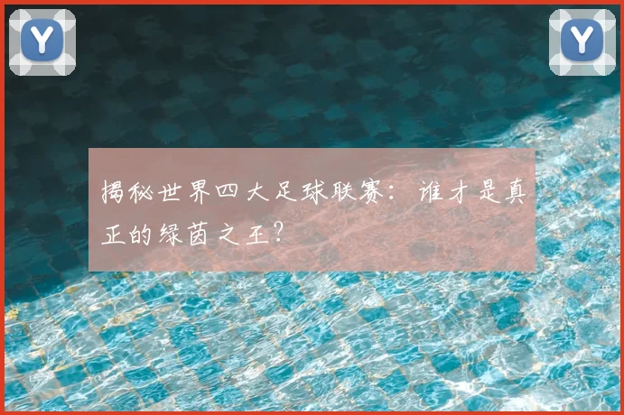 揭秘世界四大足球联赛:谁才是真正的绿茵之王?